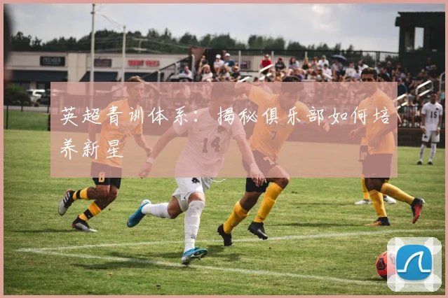 英超青训体系：揭秘俱乐部如何培养新星