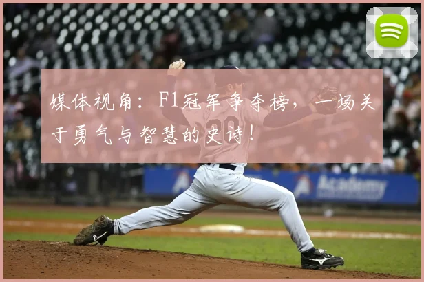 媒体视角:F1冠军争夺榜,一场关于勇气与智慧的史诗!