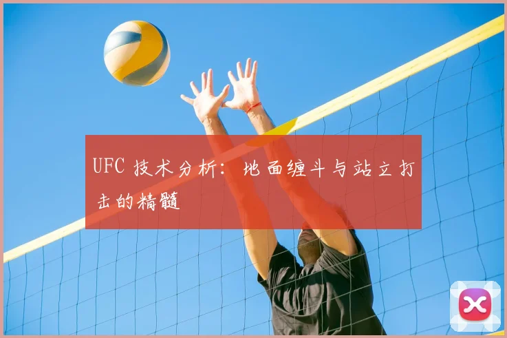 UFC 技术分析:地面缠斗与站立打击的精髓