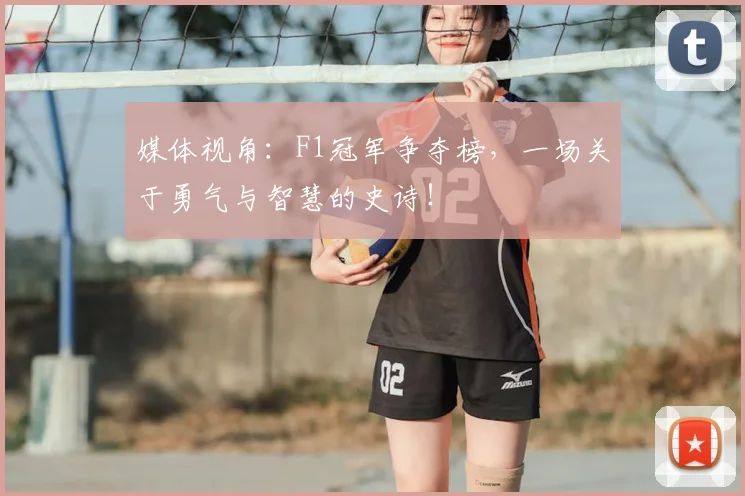 媒体视角:F1冠军争夺榜,一场关于勇气与智慧的史诗!